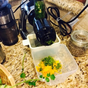 Using our Omega Nutrition Juicer